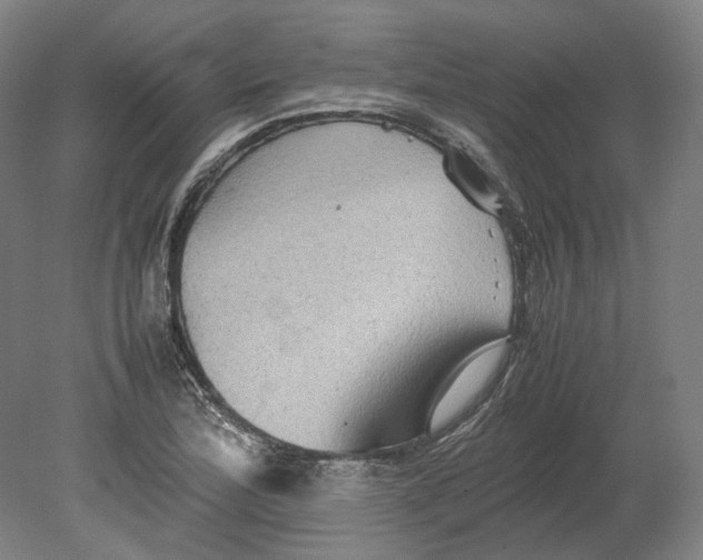 X0000080681172200701051026