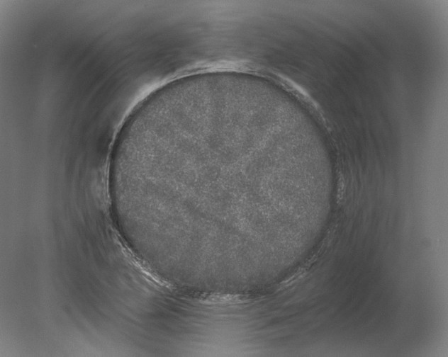 X0000080681174200701051026