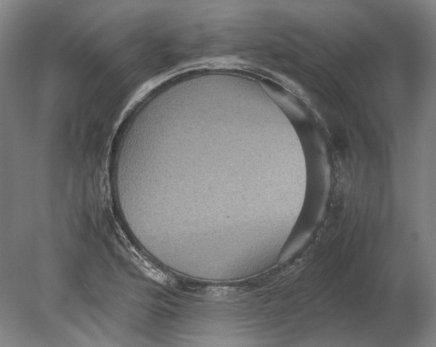 X0000080681176200701051026