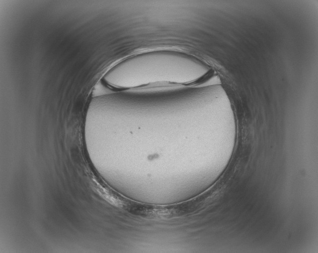 X0000080681177200701051026