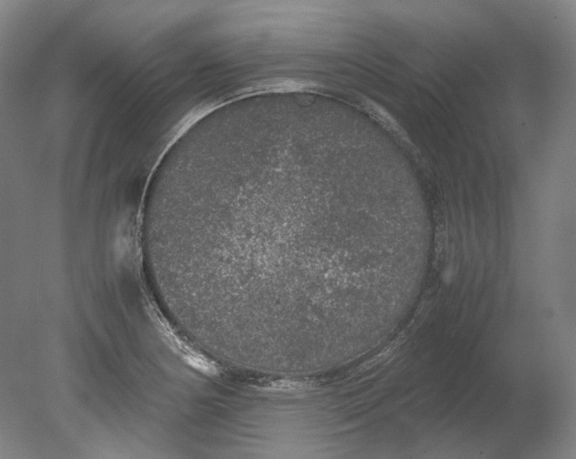 X0000080681178200701051026