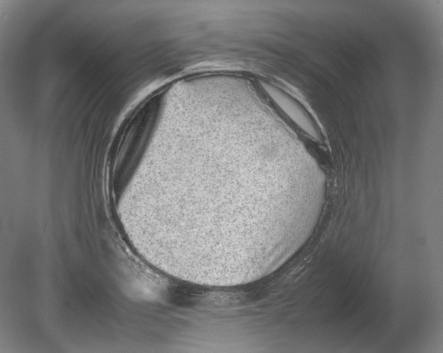 X0000080681179200701051026