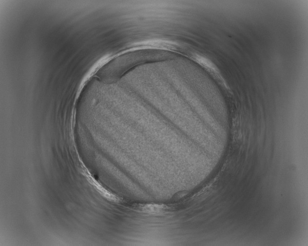 X0000080681180200701051026