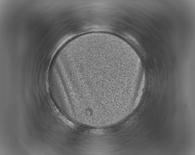 X0000080681182200701051026