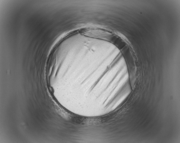 X0000080681183200701051026