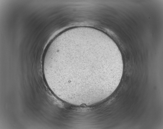 X0000080681184200701051026