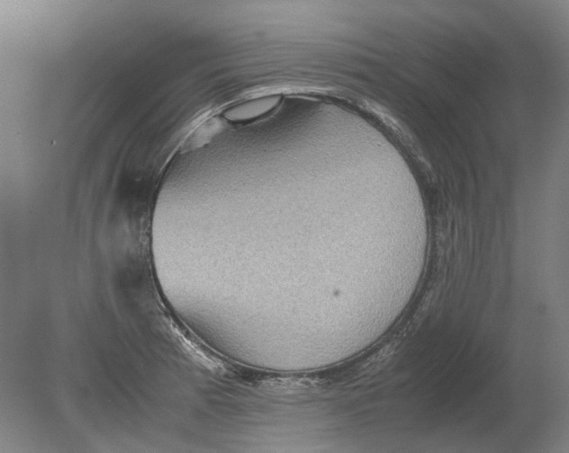 X0000080681185200701051026