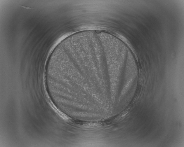 X0000080681187200701051026