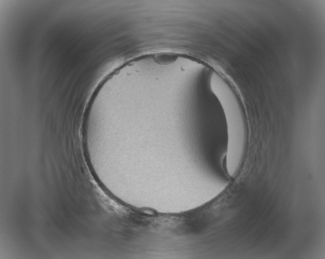 X0000080681189200701051026