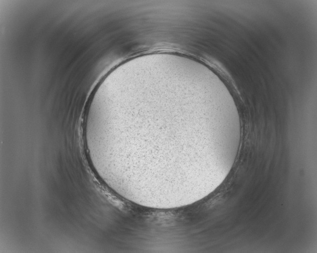 X0000080681190200701051026