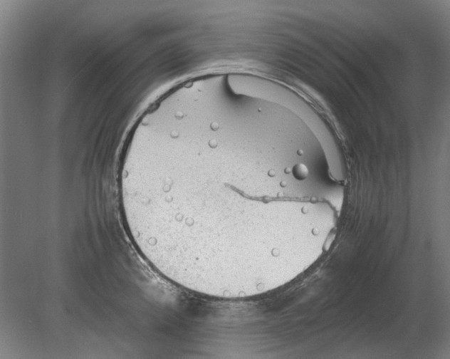 X0000080681192200701051026