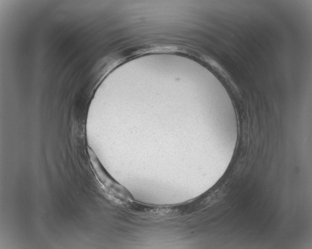 X0000080681193200701051026