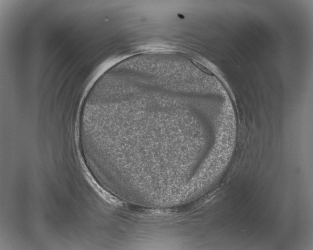 X0000080681195200701051026