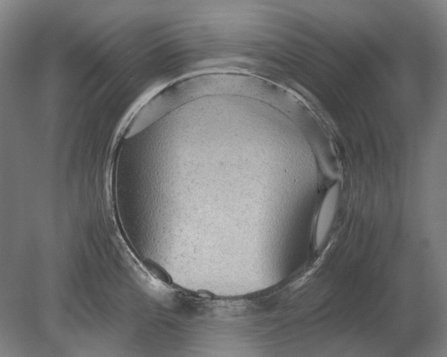 X0000080681196200701051026