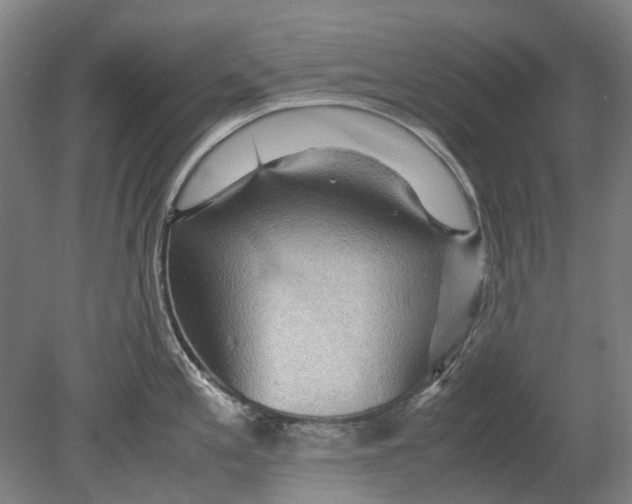 X0000080681197200701051026