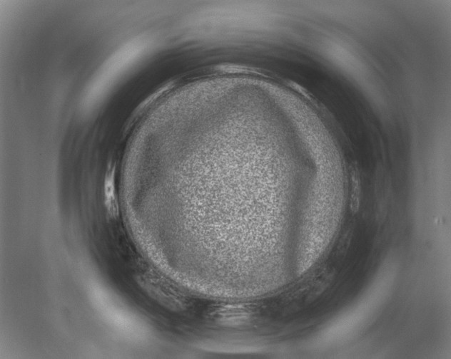 X0000080681198200701051026