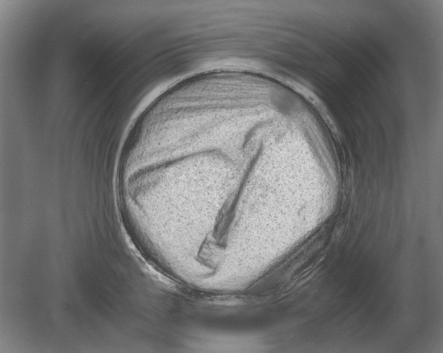 X0000080681199200701051026