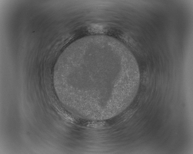 X0000080681201200701051025