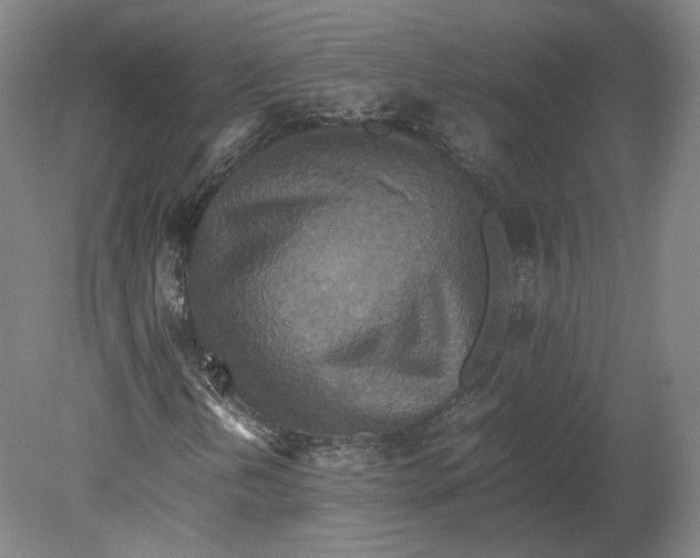 X0000080681202200701051025