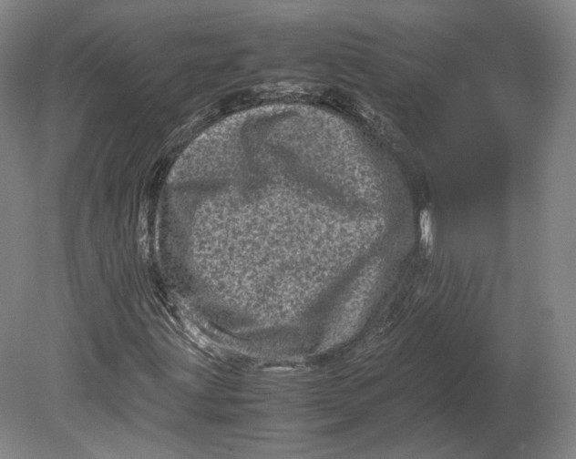 X0000080681203200701051025