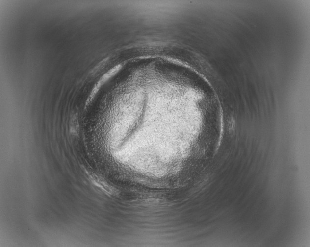 X0000080681204200701051025