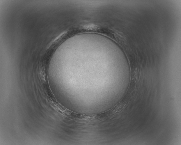 X0000080681205200701051025