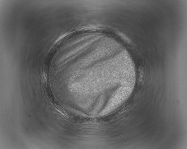 X0000080681206200701051025