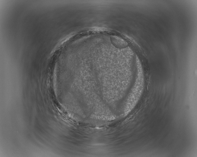 X0000080681207200701051025