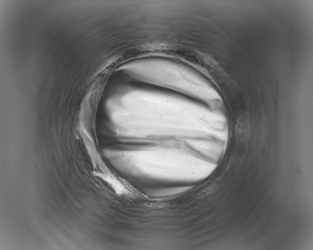 X0000080681209200701051025