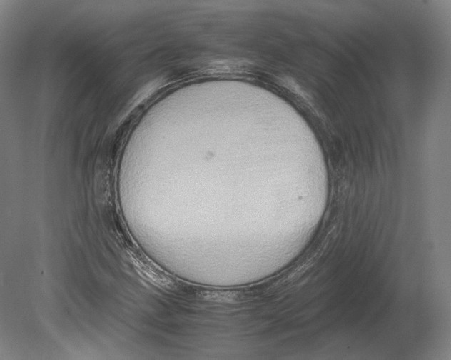 X0000080681211200701051025