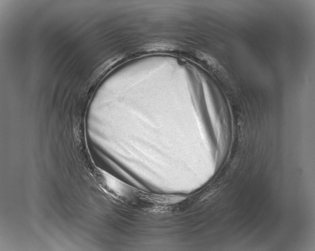 X0000080681217200701051025