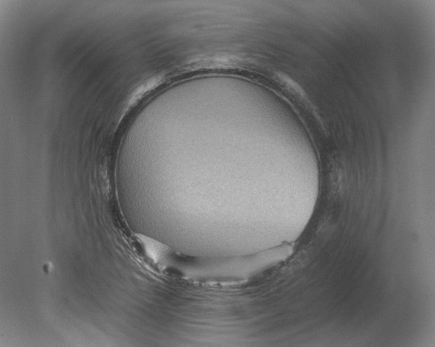 X0000080681218200701051025