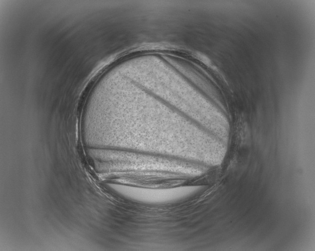 X0000080681221200701051025