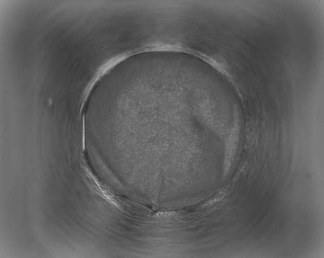 X0000080681223200701051025