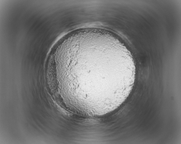 X0000080681224200701051025