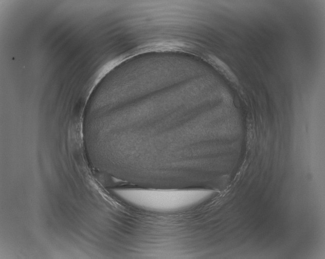 X0000080681226200701051025