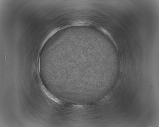 X0000080681227200701051026