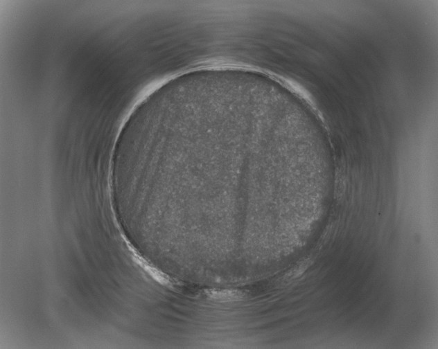 X0000080681231200701051026