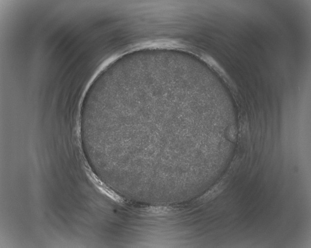 X0000080681232200701051026