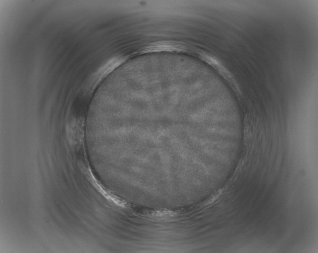 X0000080681233200701051026