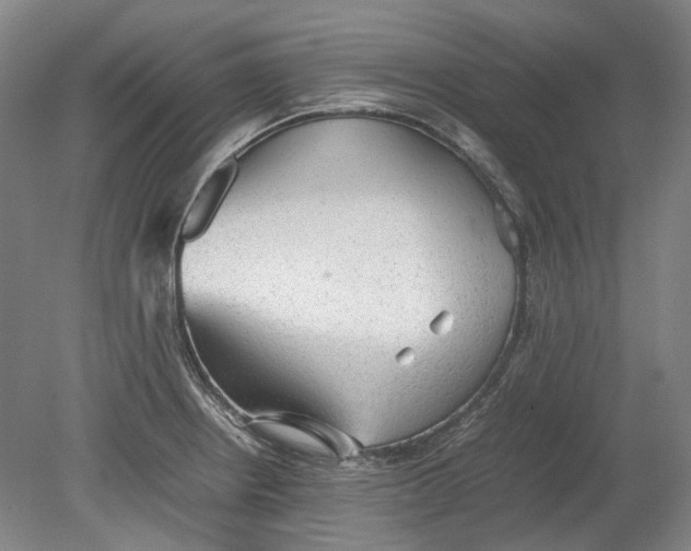 X0000080681234200701051026