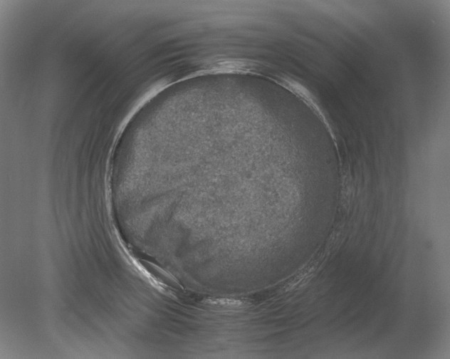 X0000080681235200701051026