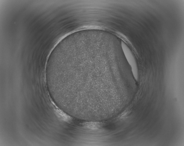 X0000080681236200701051026