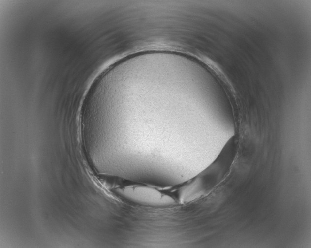 X0000080681238200701051026