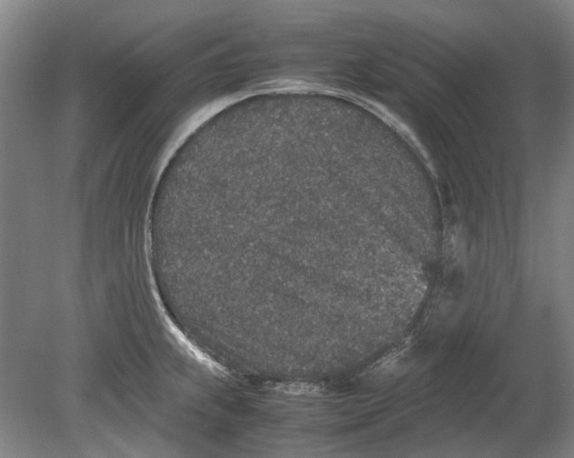 X0000080681239200701051026