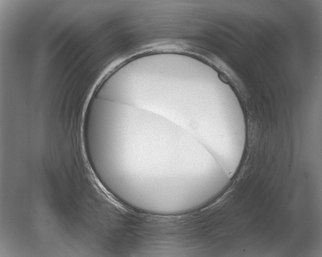 X0000080681240200701051026