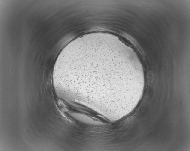 X0000080681241200701051026