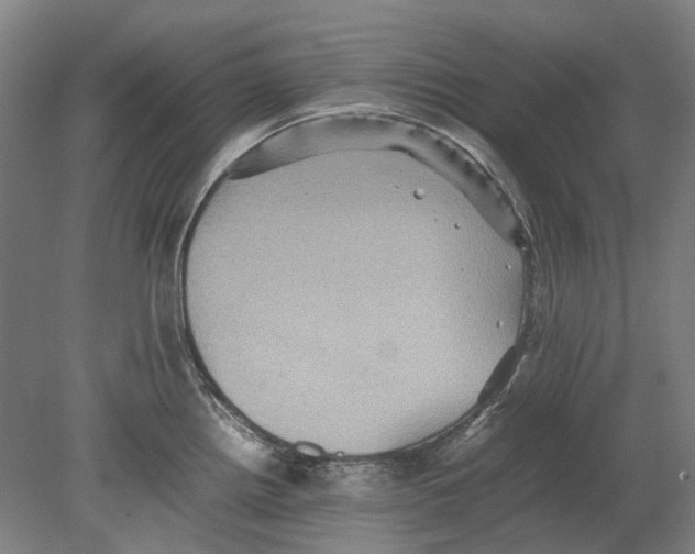 X0000080681242200701051026