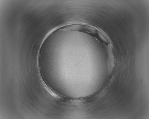 X0000080681246200701051026