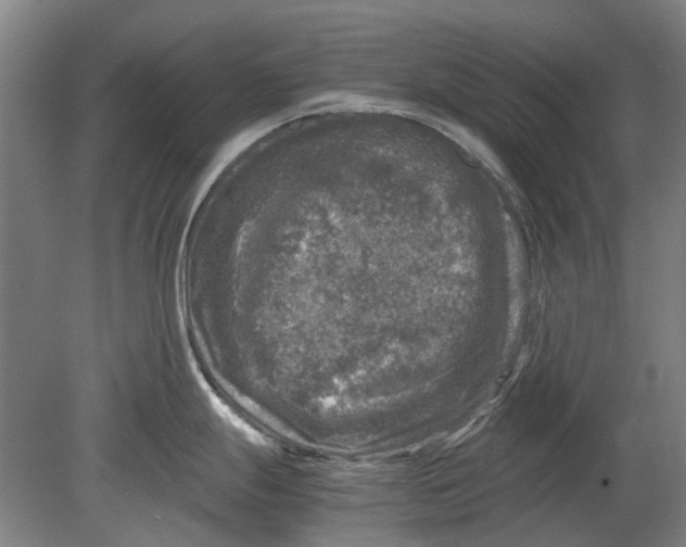 X0000080681247200701051026